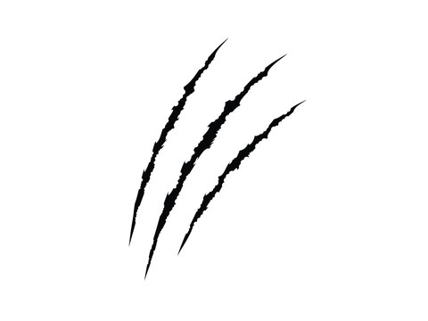 Grunge claw. mark. Grunge tiger claw made for your design.