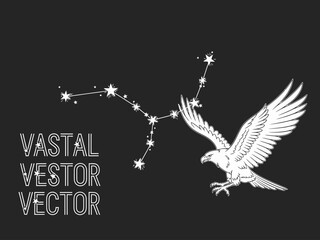 Eagle Constellation Vector Art Connected Stars Illustration Minimalist Line Design