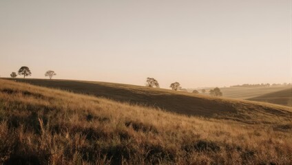 Obraz premium Golden Hour Rolling Hills with Scattered Trees Under a Hazy Sky.