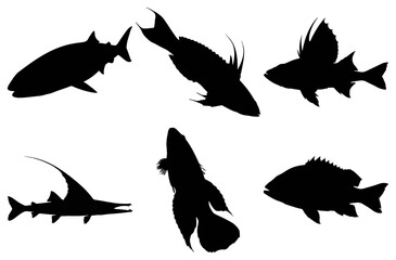 Collection of various fish silhouettes representing marine life