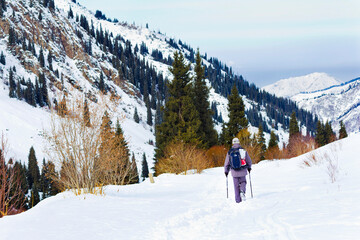 Man walking in snowy mountain forest landscape in winter.  Kazakhstan