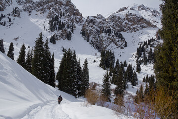 Man walking in snowy mountain forest landscape in winter