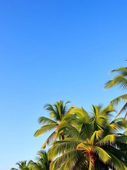 Obraz premium Lush green palm trees swaying gently in a warm, tropical breeze under a clear blue sky, plant, palm frond