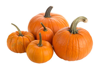 Assortment of Orange Pumpkins isolated on Transparent Background