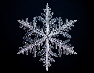 Close-up of a perfectly symmetrical, icy snowflake against a black backdrop