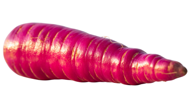 A fresh  pink color carrot cutout.