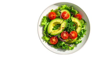 Fresh healthy vegetarian food, tomato and cucumber salad with lettuce on a white plate.