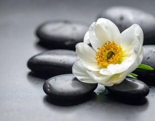 Fototapeta premium Close-up of black spa stones with white flower