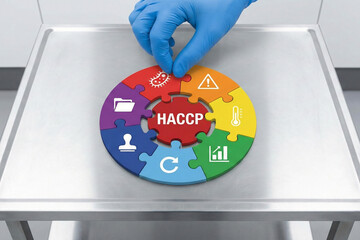 Hand placing final piece of colorful jigsaw puzzle with HACCP text and safety management icons on stainless steel medical table for system integration concept