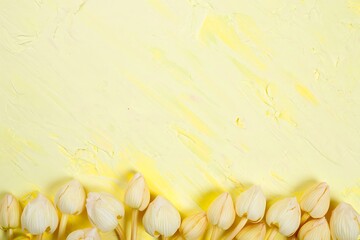 White tulip flower buds on a textured yellow background with copy space