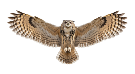 Majestic Eurasian eagle-owl with open wings isolated PNG, a large nocturnal bird of prey on transparent background, wildlife and nature concept