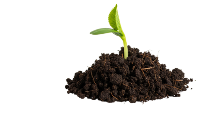 New seedling emerges from rich soil against a black backdrop symbolizing growth and potential in agriculture and environmental conservation on transparent background