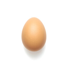 Fresh hen eggs consist of a shell, egg white, and yolk, typically isolated against a white background for visual clarity.