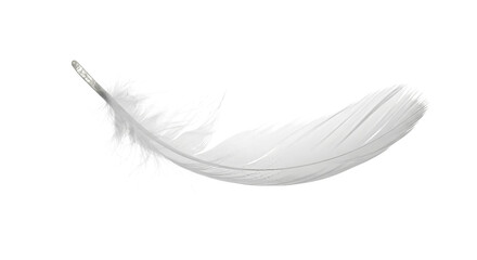 Obraz premium Elegant white feather showcasing delicate texture and lightness for artistic and design applications on transparent background