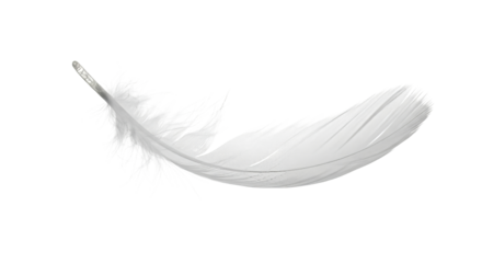 Elegant white feather showcasing delicate texture and lightness for artistic and design applications on transparent background