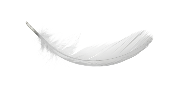 Elegant white feather showcasing delicate texture and lightness for artistic and design applications on transparent background