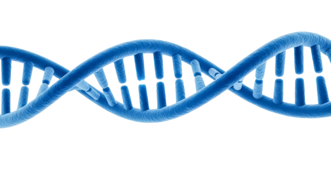 Blue dna double helix structure against a representing genetics research and medical science advancements and biotechnology on transparent background - Powered by Adobe
