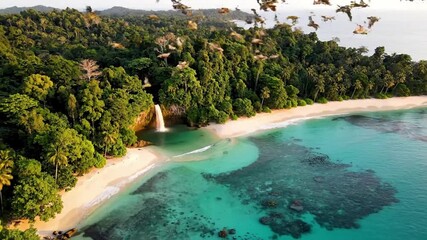 A serene aerial view of a pristine, uninhabited tropical island, showcasing lush green canopy, white sandy beaches, and crystal clear turquoise waters.
