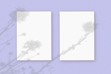Natural light casts shadows from wildflowers on 2 sheets of white paper lying on an violet background. Mockup