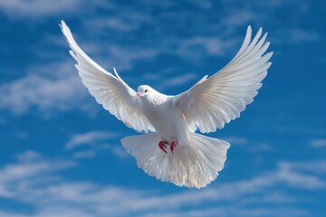 White dove soaring against a bright blue sky with fluffy clouds during the daytime