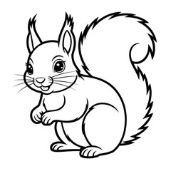 Squirrel animal