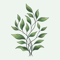 Elegant green leaves illustration botanical vector design perfect for wedding invitations and natural product branding
