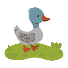duck with colorful plumage stands on green grass, its cheerful expression highlighted. Vector illustration perfect for kids designs, educational materials, or playful decorations.