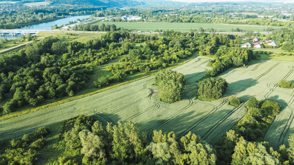 Rural landscape with farmland, crops, and forest border