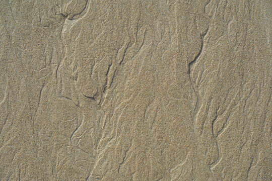 Close-up of sand with natural patterns and textures formed by water and wind. The fine lines and curves are fascinating and unique.