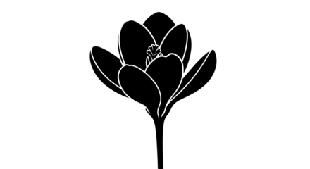 Abstract geometric pattern with white lines on a black background