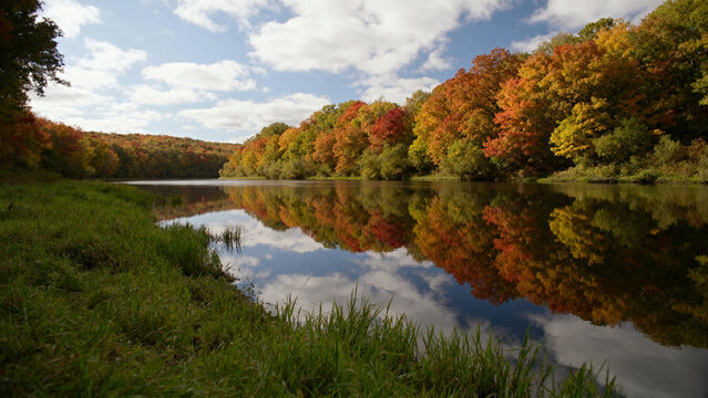 autumn in the forest