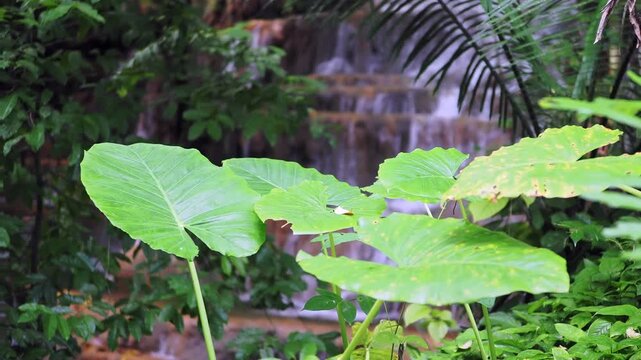 Waterfall made from sedimentary limestone that has accumulated in layers