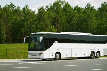 Modern white bus parked near trees