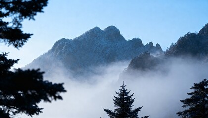 Majestic snow-capped mountain peak emerges from ethereal morning mist, framed by silhouetted pine tree branches, conveying serenity and winter grandeur.