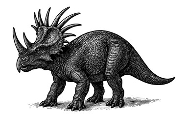Fototapeta premium Detailed hand-drawn triceratops with spiky frill in vintage engraving style