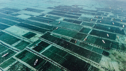 Ocean seaweed farm on Lembongan in Indonesia
