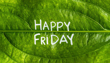 green leaf with &ldquo;Happy Friday&rdquo; gently written using white paint pen
