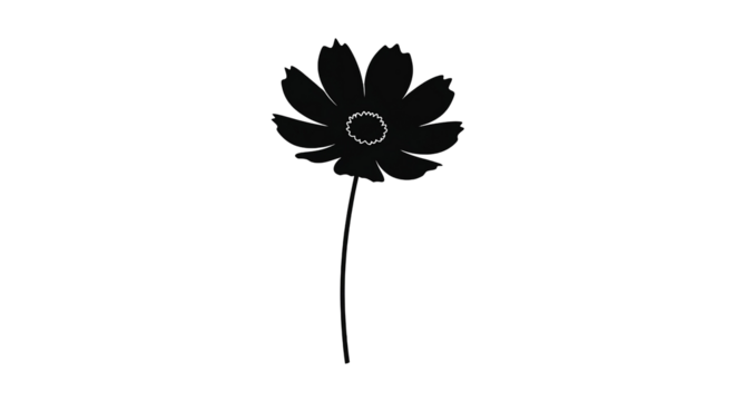 Single black flower with a silver ring on a dark background