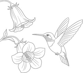 Fototapeta premium Black and white flying seagull vector illustration graphic design art eps silhouette