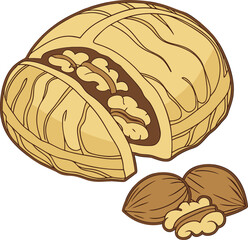 Cracked walnut with whole walnuts illustration
