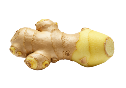 Extreme close-up, high-angle macro shot of a freshly peeled, knobby ginger rhizome on a transparent studio backdrop with copy space, showcasing pale yellow fibrous flesh. Concept of natural spice and