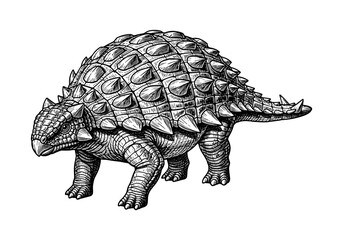 Fototapeta premium Detailed black and white drawing of an ankylosaurus dinosaur with armored plates