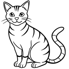 Obraz premium black and white kitten