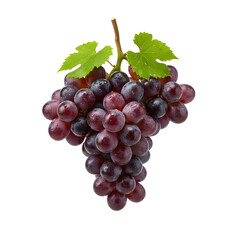 Fototapeta premium bunch of grapes