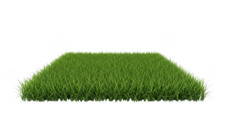 Green grass patch isolated on transparent background