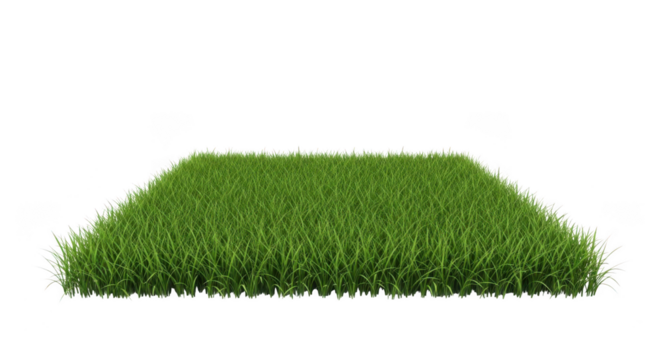 Green grass patch isolated on transparent background