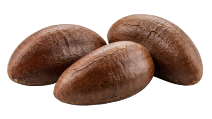 Roasted Cocoa Beans: Close-up studio shot of three raw cocoa beans against a solid background, ready to be processed into chocolate, evoking the sensory experience of chocolate making.