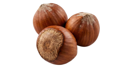Hazelnut Trio: Three fresh hazelnuts, captured in exquisite detail, showcase the perfect simplicity of nature's bounty, inviting a sensory exploration of their rich texture.