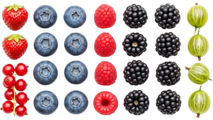 Colorful collection of fresh summer berries. Strawberry, blueberry, raspberry, and blackberry neatly arranged in rows on an isolated transparent background