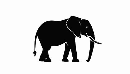 Fototapeta premium A striking black silhouette of an African elephant with its trunk curled downwards, set against a stark white background.